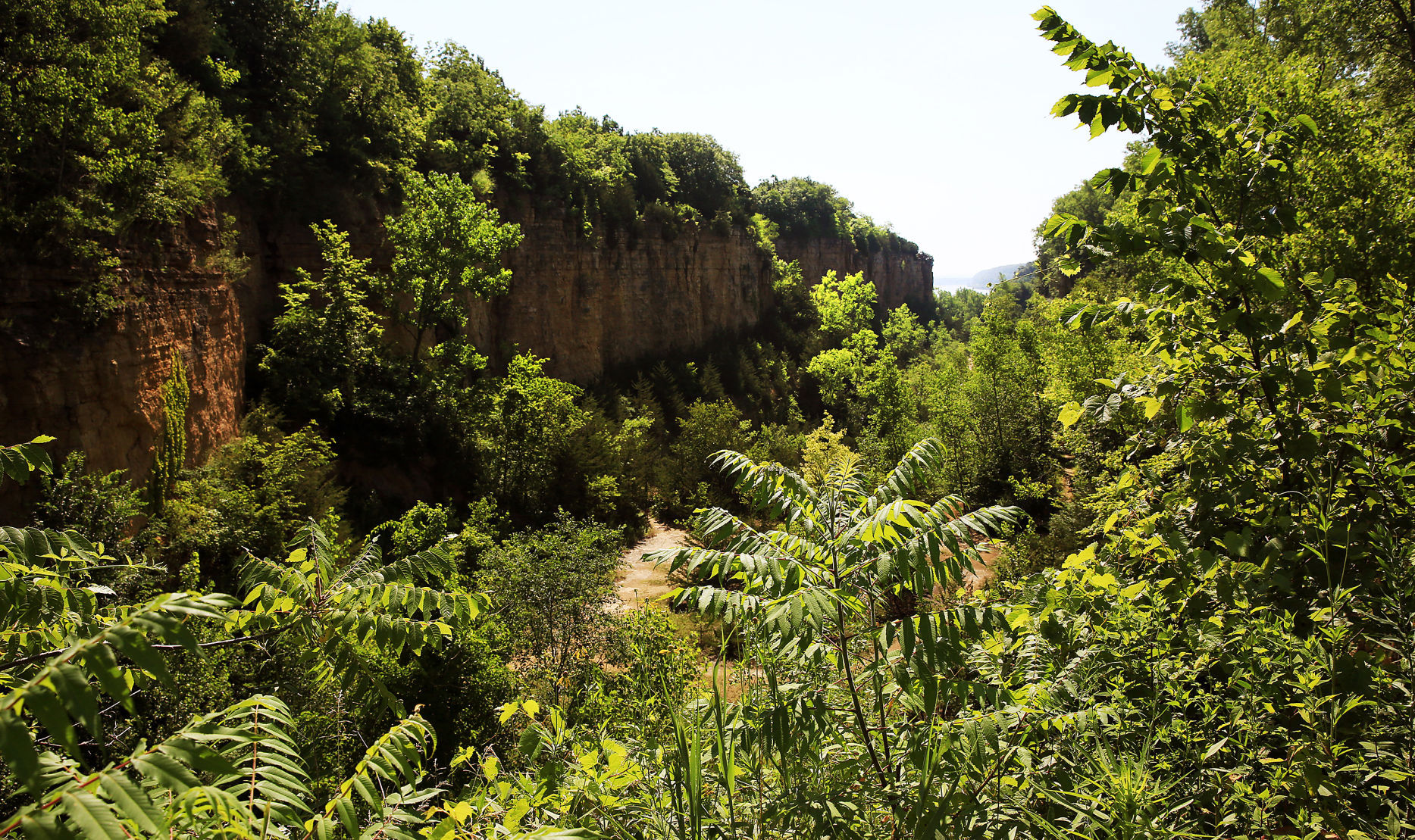 THE GREAT RIVER-0457